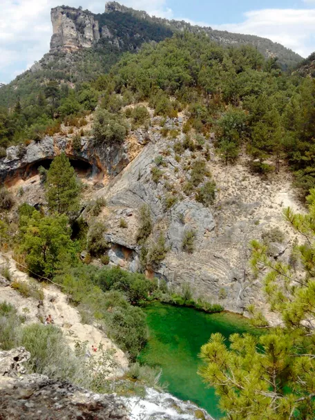 Poza verde en cañón rocoso con bosque