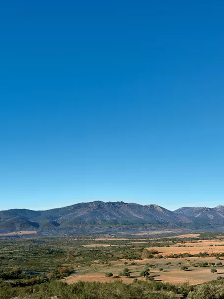 Paisaje de dehesa y sierra bajo cielo despejado.