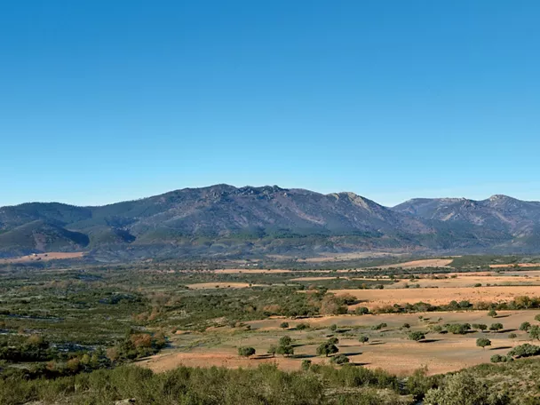 Paisaje de dehesa y sierra bajo cielo despejado.