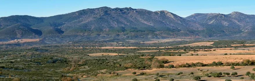 Paisaje de dehesa y sierra bajo cielo despejado.