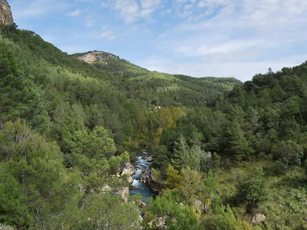 Cañón fluvial en el Alto Tajo.