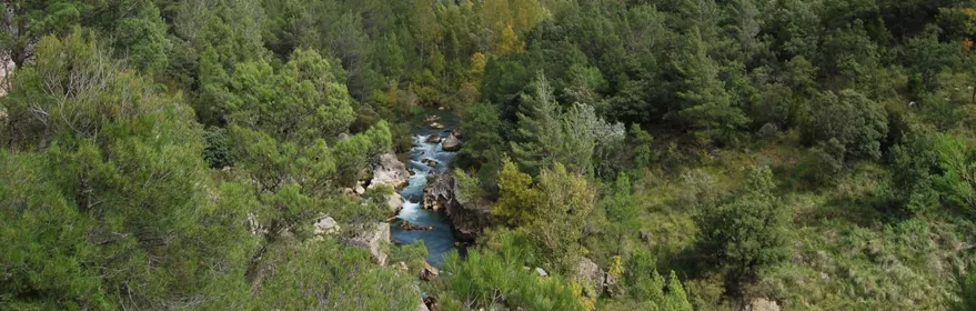 Cañón fluvial en el Alto Tajo.