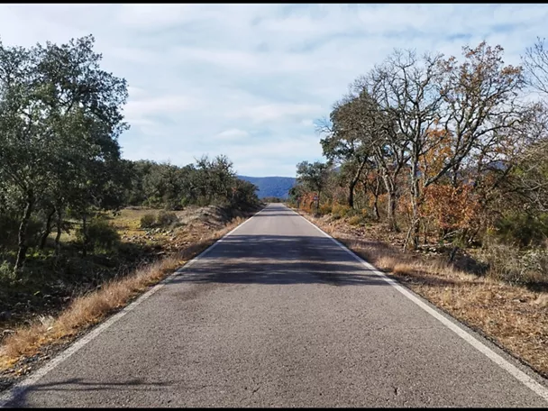 Carretera recta entre árboles y matorral con montañas al fondo.