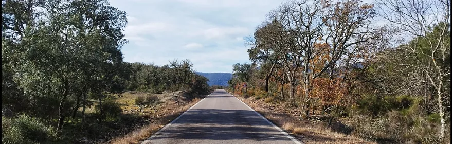 Carretera recta entre árboles y matorral con montañas al fondo.