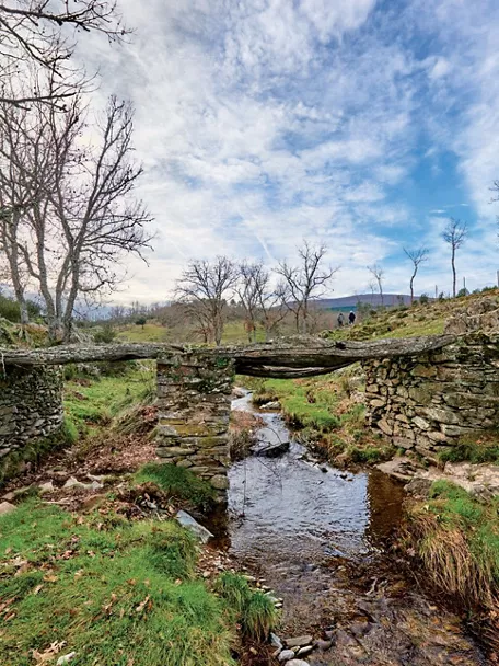 Puente rústico de piedra sobre arroyo.