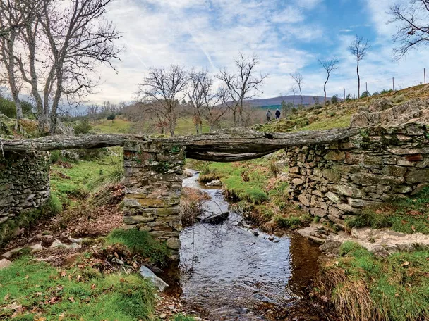 Puente rústico de piedra sobre arroyo.