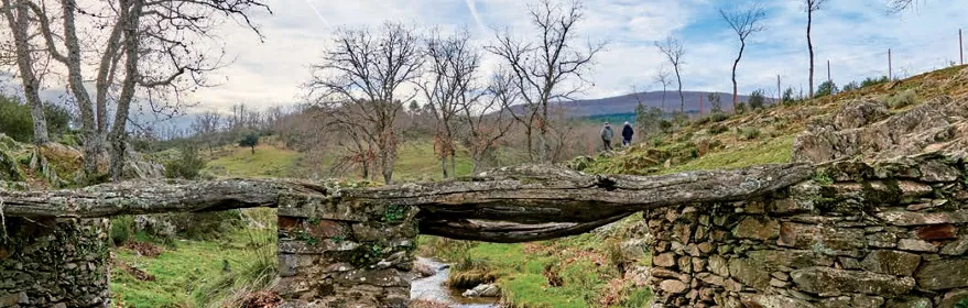 Puente rústico de piedra sobre arroyo.