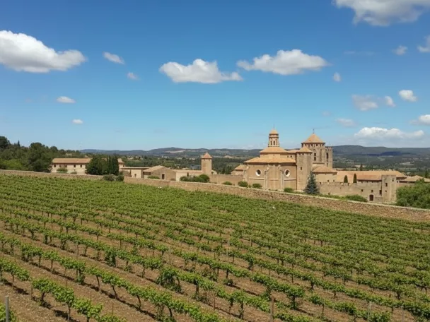 Viñedos junto a monasterio histórico.