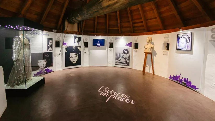 Sala circular de museo con paneles expositivos y vitrinas iluminadas