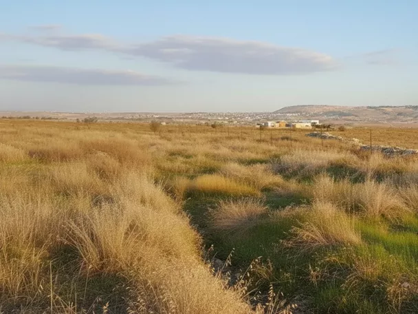 Pradera seca y llana con colinas suaves al fondo