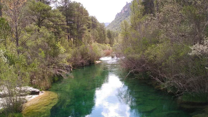 Río verde entre montañas y pinos