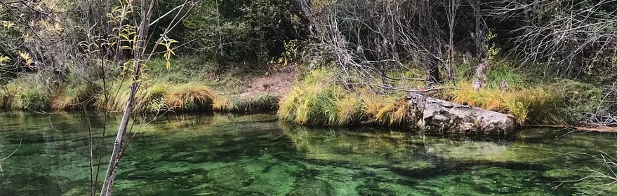 Río de aguas cristalinas en bosque