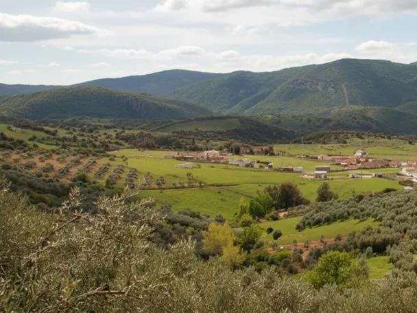 Entorno de San Lorenzo de Calatrava