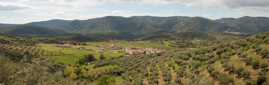 Entorno de San Lorenzo de Calatrava