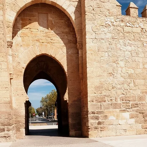 Detalle monumental de San Lorenzo de Calatrava