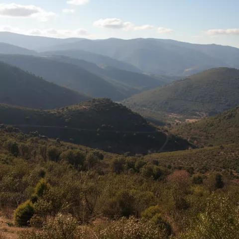 Entorno natural de San Lorenzo de Calatrava