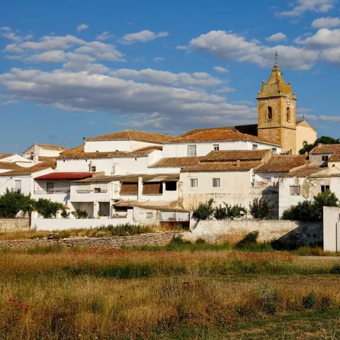 Detalle de San Pedro en Albacete