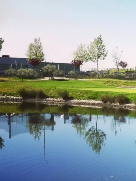 Lago junto a green rodeado de vegetación