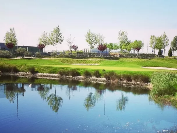 Lago junto a green rodeado de vegetación