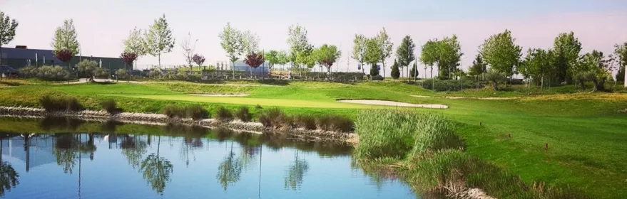 Lago junto a green rodeado de vegetación