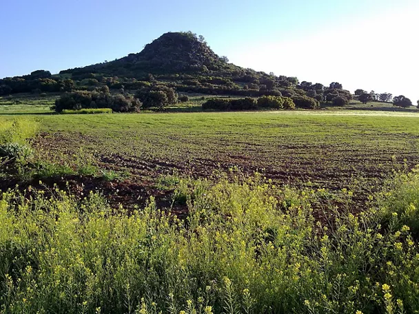 Cerro cubierto de vegetación y campo verde