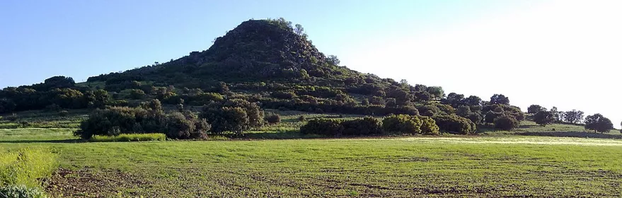 Cerro cubierto de vegetación y campo verde