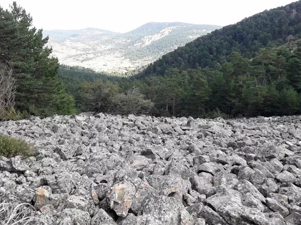 Pedregal de alta montaña.