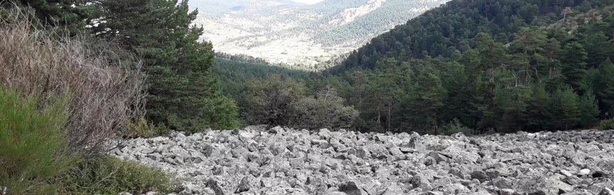 Pedregal de alta montaña.