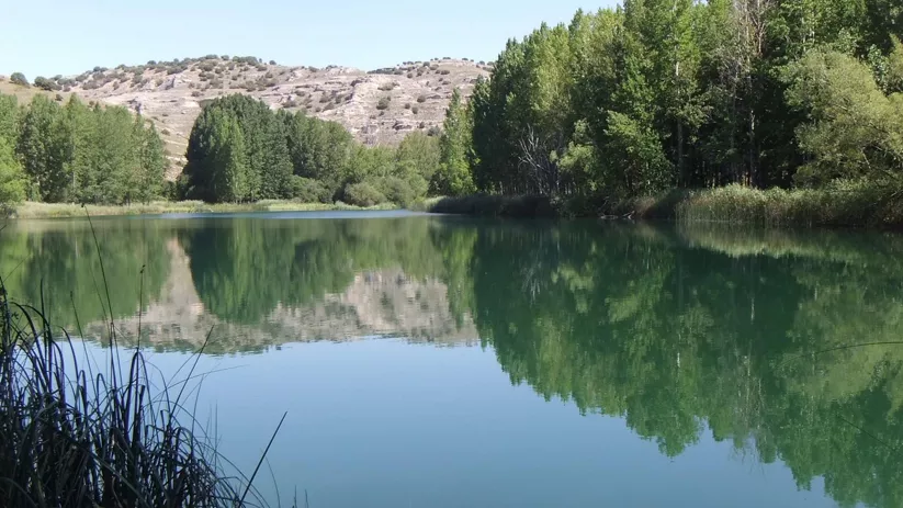 Laguna natural rodeada de vegetación.
