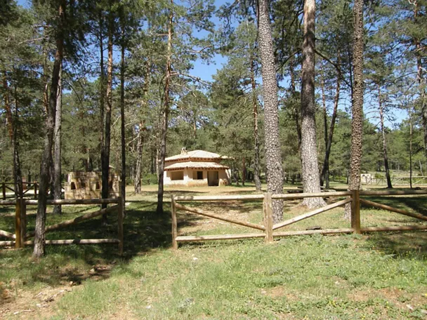 Área recreativa en pinar.