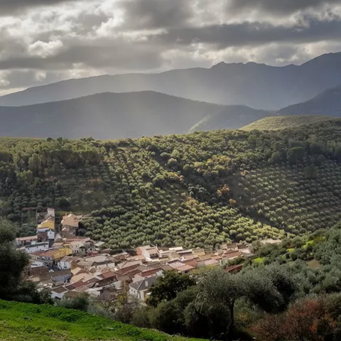 Naturaleza en el entorno de Solana del Pino