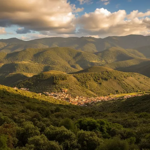 Entorno natural de Solana del Pino