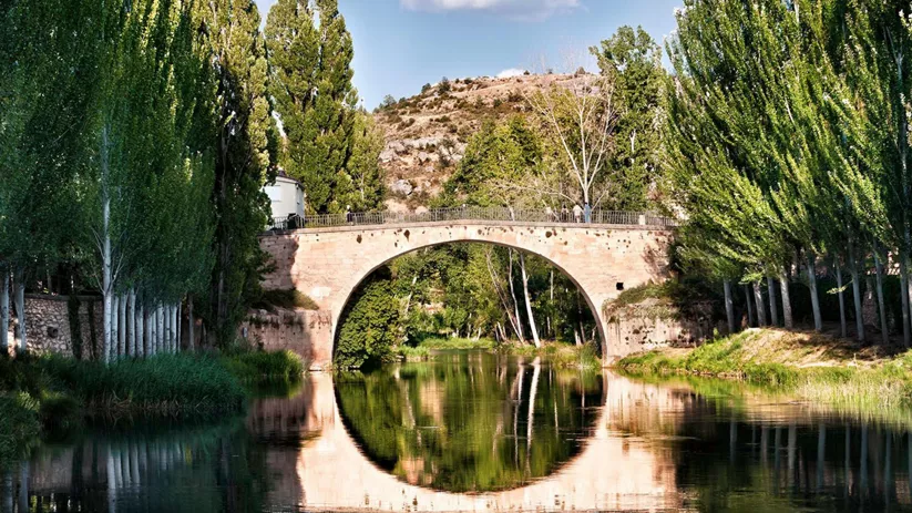 Puente de piedra sobre río entre árboles.