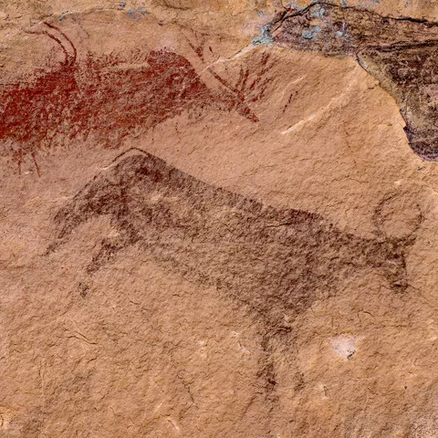 Toro y ciervo en el yacimiento rupestre de Villar del Humo