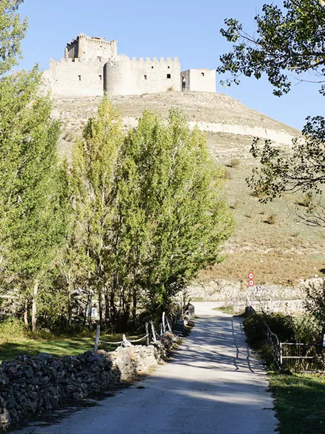 Camino rural hacia castillo en lo alto de una colina.