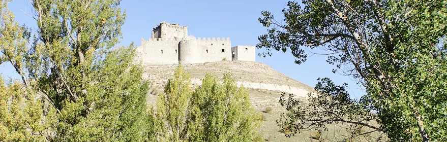 Camino rural hacia castillo en lo alto de una colina.