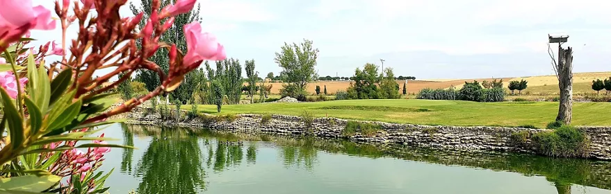 Lago junto a green rodeado de vegetación
