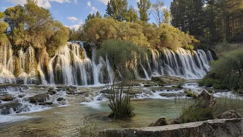Cascadas naturales en entorno forestal