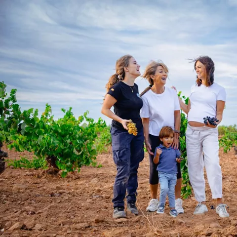 Enogastronomía Castilla-La Mancha