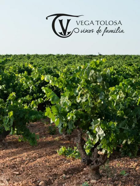 Enogastronomía Castilla-La Mancha