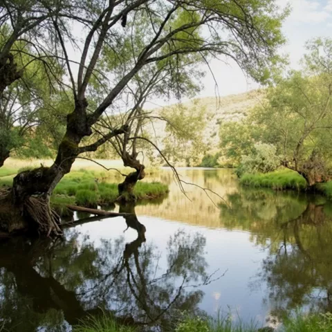 Naturaleza en el entorno de Valdemanco del Estera