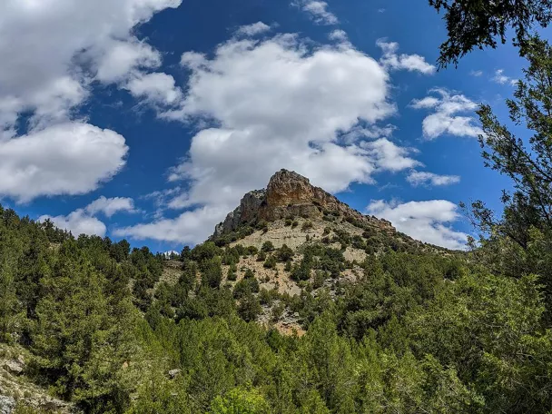Cumbre rocosa sobre bosque de montaña.