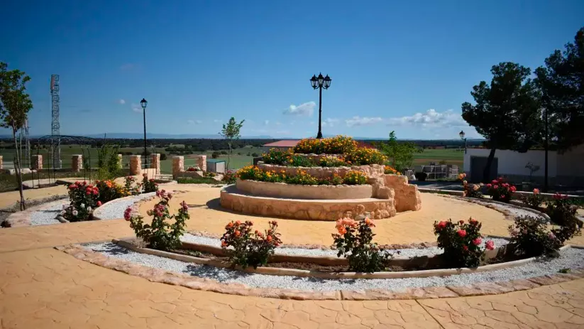 Plaza del pueblo rodeada de plantas