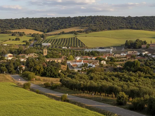 Una toma elevada que muestra un pueblo con casas de color claro y un campanario, enclavado entre campos agrícolas ondulados y una colina boscosa.