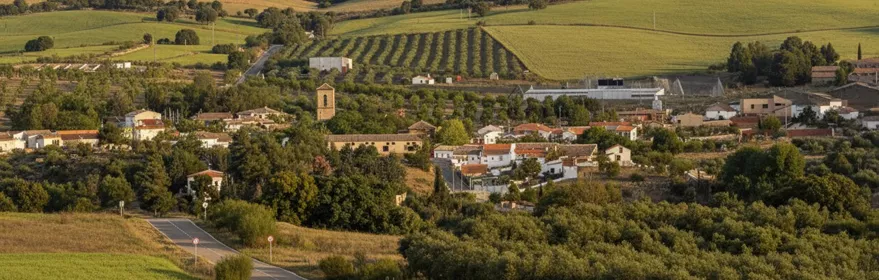 Una toma elevada que muestra un pueblo con casas de color claro y un campanario, enclavado entre campos agrícolas ondulados y una colina boscosa.