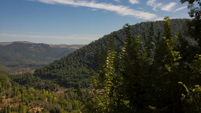 Paisaje montañoso cubierto de bosque y valle profundo