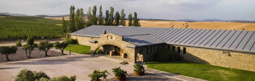 Bodega moderna rodeada de viñedos y campos.