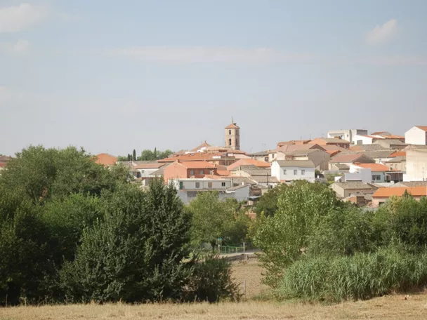 Vista panorámica del casco urbano rodeado de campos