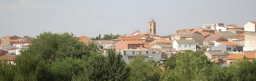 Vista panorámica del casco urbano rodeado de campos
