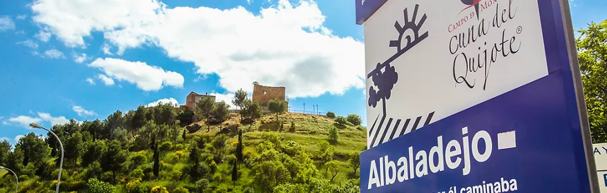 Vista lejana del castillo